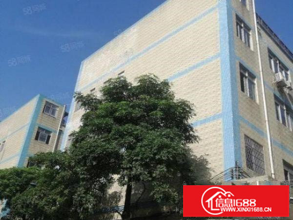 龙华ICO附近有3901100平厂房电商，贸易仓库的看过来