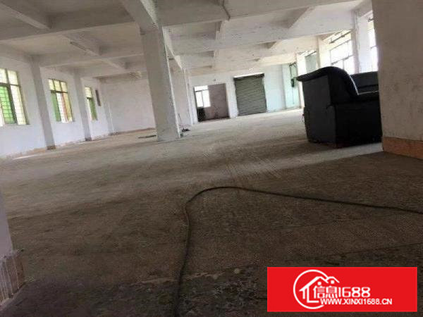 大岭山大塘原房东独栋民房2层800平方出租无公摊