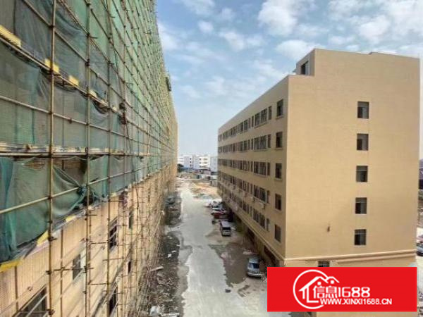 自家一手厂房，欢迎各位想开厂的朋友