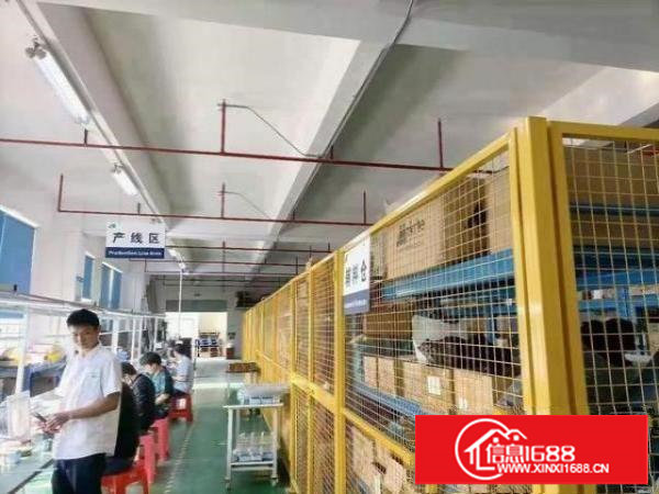 长安镇乌沙附一楼水电齐全全新办公室装修，