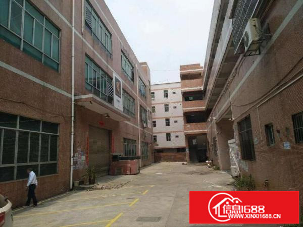 出租龙岗区横岗大康3900平独院厂房