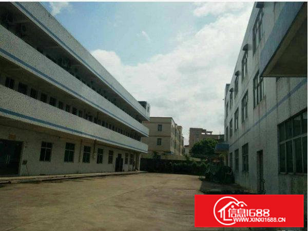 常平袁山贝莞深高速附近经典小独院4500平米