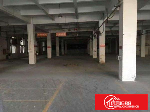 横沥石涌一楼标准厂房1000平形象好