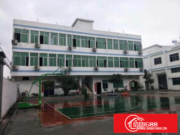 寮步原房东小独院出租