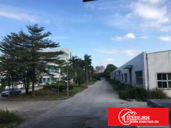 东莞清溪一楼钢构厂房出租1200平方，带牛角高9米