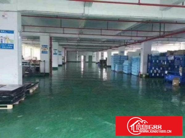 龙岗高速路口800平方电子厂豪华装修形象好