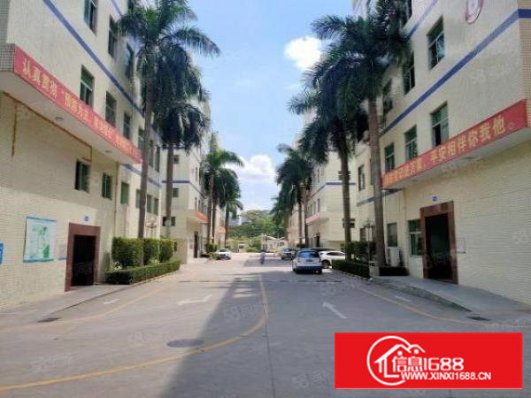 石岩水田独院仓库厂房出租工业园厂房招租精装修1200平分租