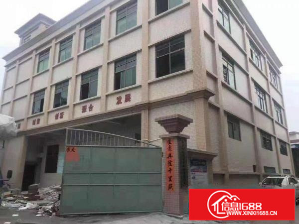 石排下沙原房东标准独院工业厂房3000平方招租（可分租）