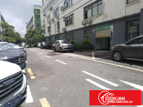 新田环观南路1楼厂房390平方