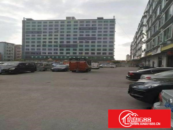 坪山坑梓新出原房东1楼7米高600平标准厂房出租