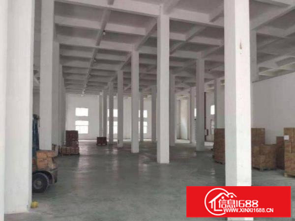 水蛇涌新出一楼600平方水电齐全厂房出租