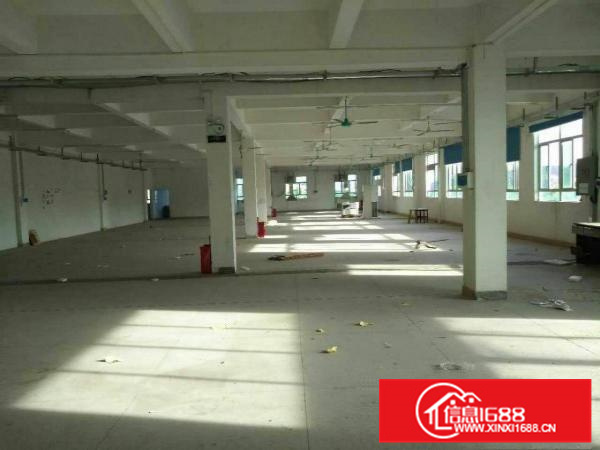 惠阳新圩南坑新出4000平原房东独院标准厂房出租