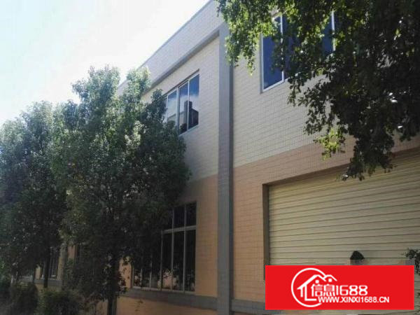 横沥10米高一手房东单一层3000平方空地2000