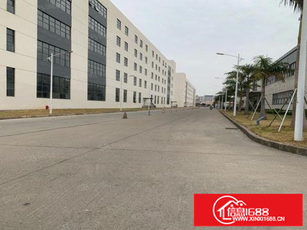 虎门新出重工业厂房2楼3428平精装修可分租一半出租