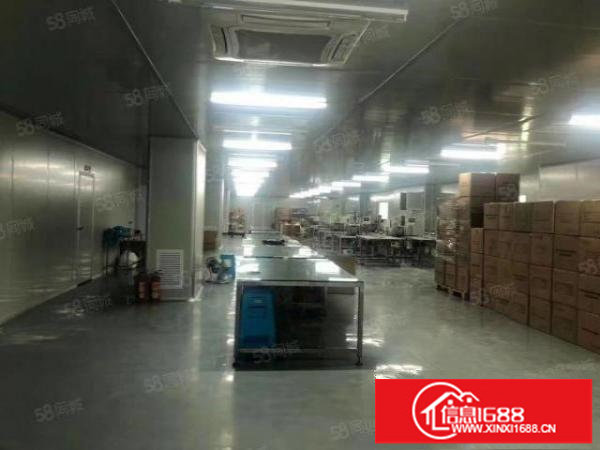 观澜桂花1600平带无尘车间厂房出租