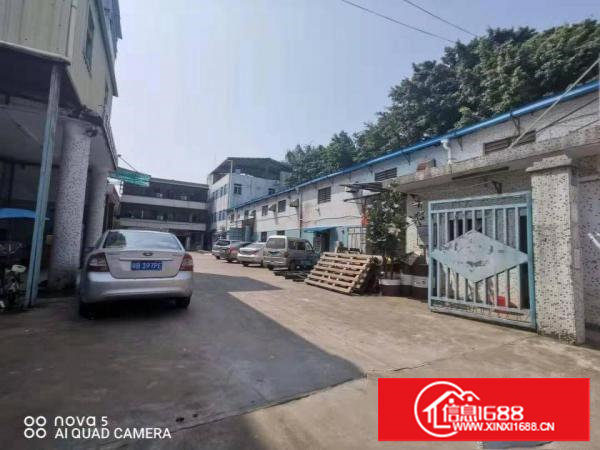 出租塘厦莆心湖1630平方独院厂房，滴水7米750平钢构