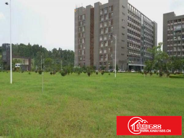 坂田工业区30000平方米厂房仓库招租