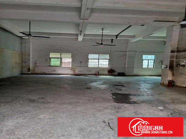一楼厂房出租，房东直租，中介勿扰
