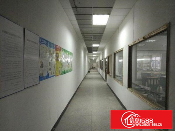 镇隆新出原房东厂房三栋29600平米出租可分租