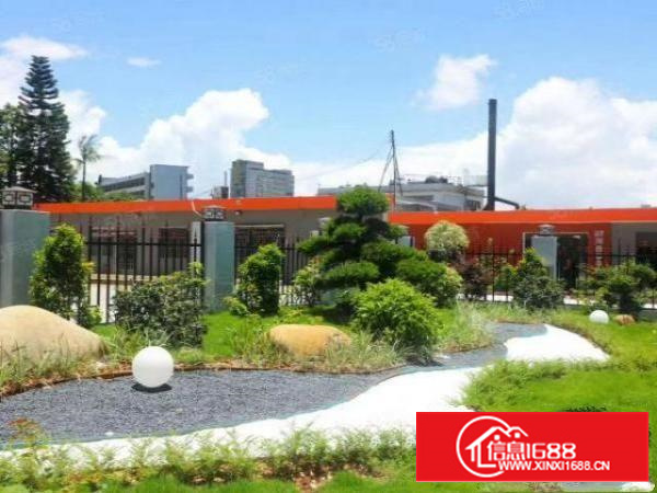 国有红本单一层独院,带独立共办公楼。物美价廉