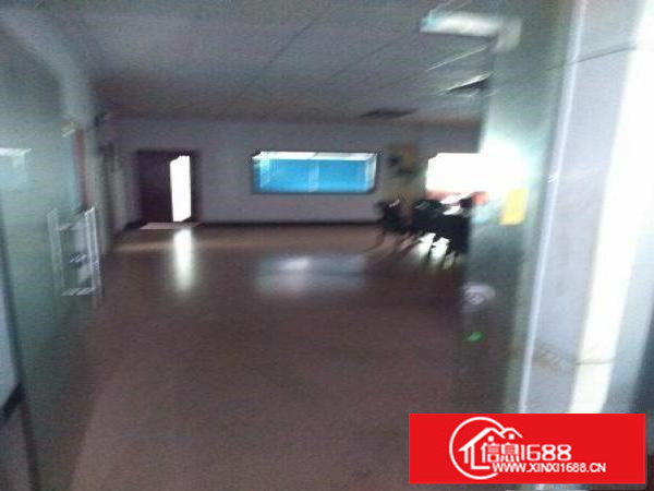 坪山深汕公路边新出精品小独院大小分租带装修电梯