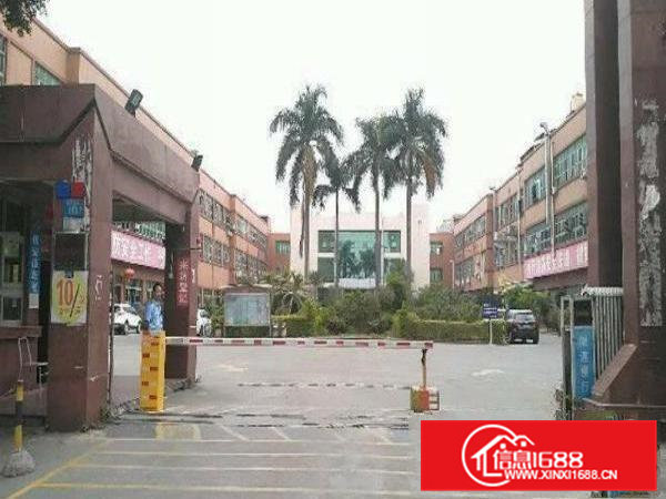 清溪近塘厦新出2楼500平米无尘车间