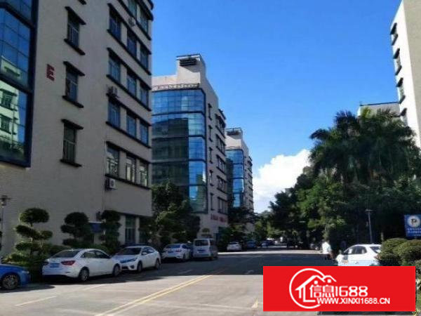 观澜高新科技园区楼上精装修700平