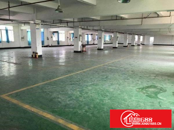 初坑工业区新出3楼1300平方分租