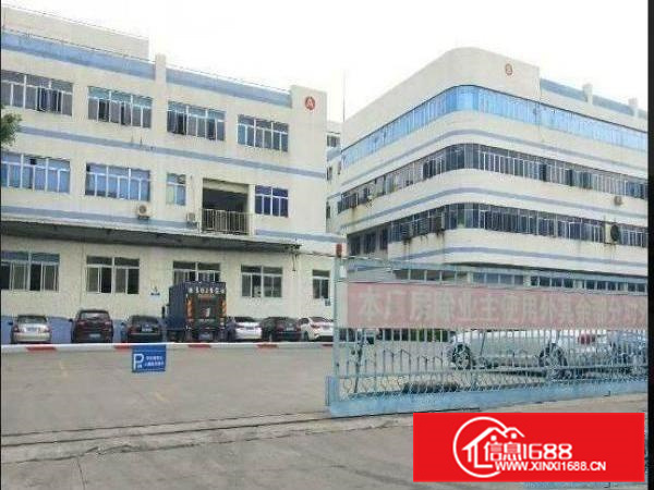 惠阳新墟原房东独院！证件齐全，电过户！空地1:1！形象一流