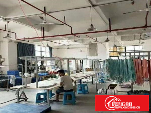 青皇业主直租带装修厂房三楼500平拎包入住