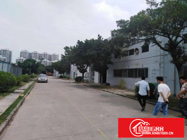 原房东全新带红本钢结构厂房出租