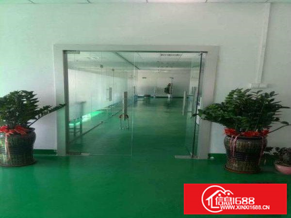 惠城区水口独门独院花园式13800平厂房出租