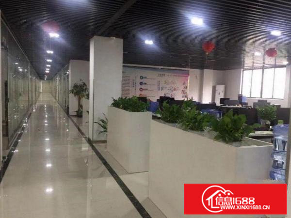 新出原房东8000平米独院带豪装厂房出租