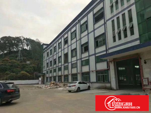 桥头镇原房东独院厂房整体出租标准厂房出租