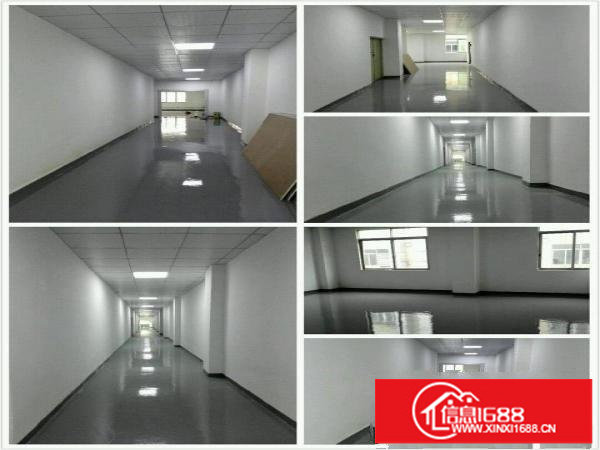 坂田天安云谷旁厂房出租600到1400平米，可分租