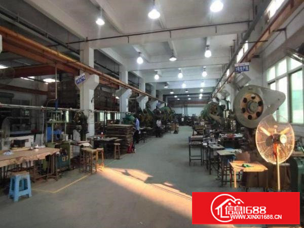 高埗村出租一楼480平现成办公室可办环评