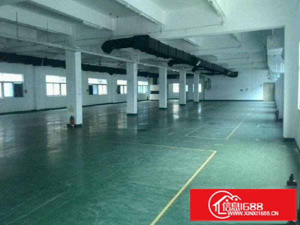 坑梓人民路楼上厂房1200平米现成水电办公室