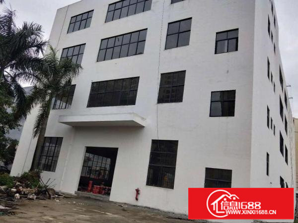 横沥镇新出全新独栋厂房4800平方，带3吨货梯！可分租