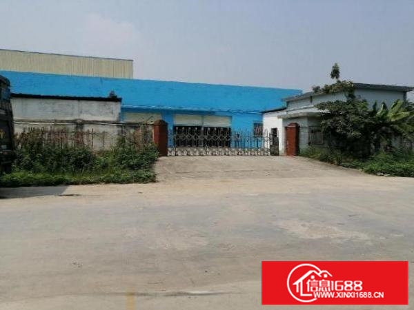 寮步镇新出原房东独院厂房