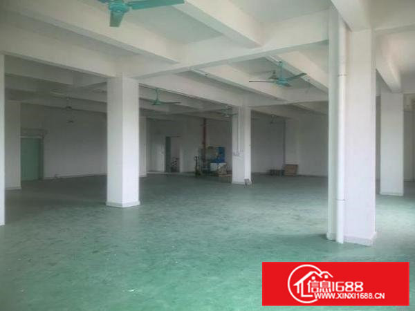 常平镇苏坑村临主路带装修主线到车间