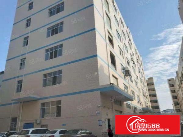 塘厦石鼓新出原房东标准厂房1000平方，价格便宜，可以分租！