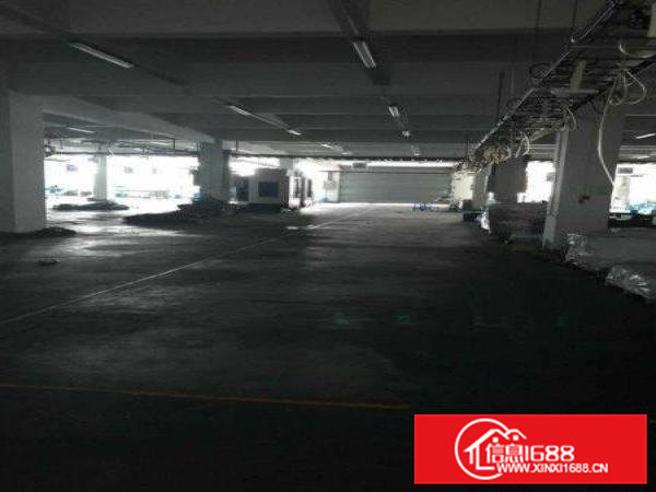 笋！无公摊可办环评！原房东5.5米2000平豪装1楼出租啦！