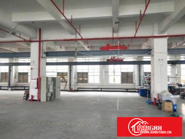 可办环评、容边工业区首层1500方、电大、可分租