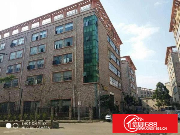 坑梓新出原房东独院7600平，一楼带牛角招租可分租