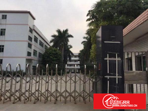 独院厂房出租6800带电梯