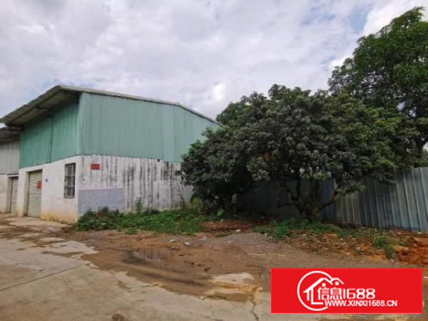 茶山稀缺小面积单一层出租