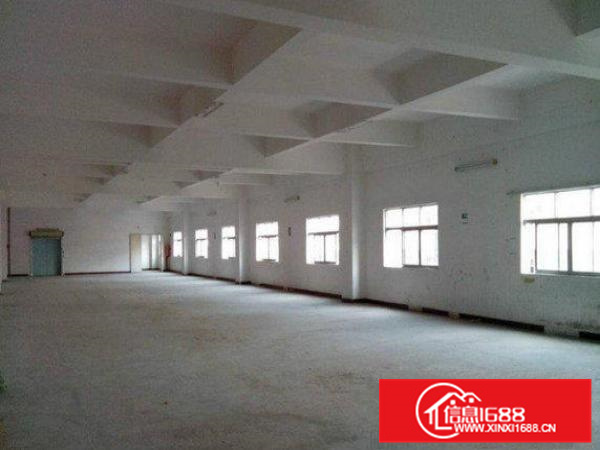 镇隆楼下村1100平标准厂房，配套齐全