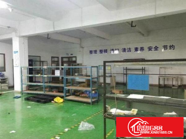 光明下村标准厂房460平出租，有地坪漆，办公环境好