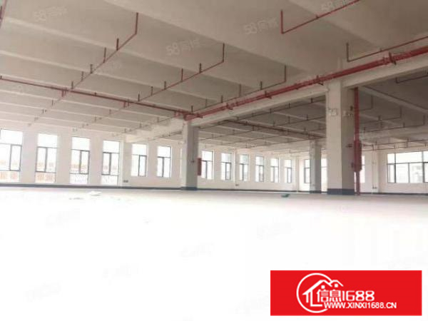 龙江独门独院9500方厂房出租，可以分租，大路边