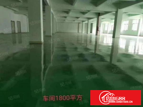 新空出楼上1800平方带地坪漆.现成办公室5吨大电梯